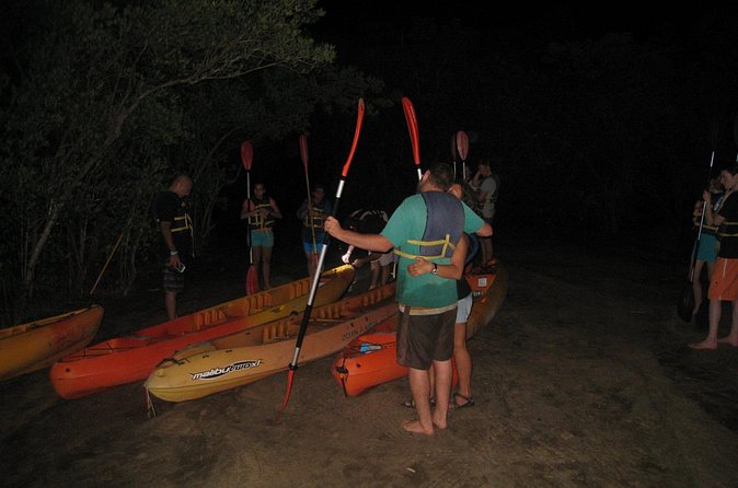 Bioluminescent Bay Kayak Trip from Vieques - Guides and group vibe: fun, patience, and real safety talk