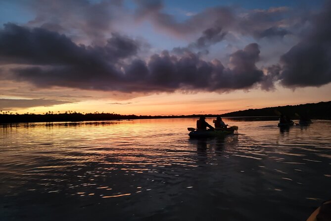 Bioluminescent Bay Night Kayaking Adventure in Puerto Rico - Key things to know before you go