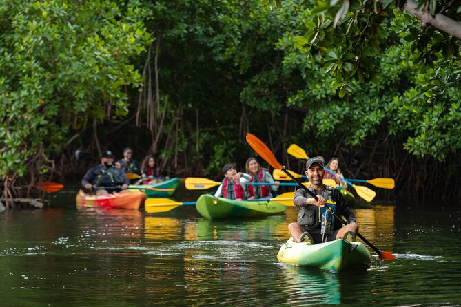 Bioluminescent Bay Night Kayaking Adventure in Puerto Rico - The guides, the teaching, and the group vibe