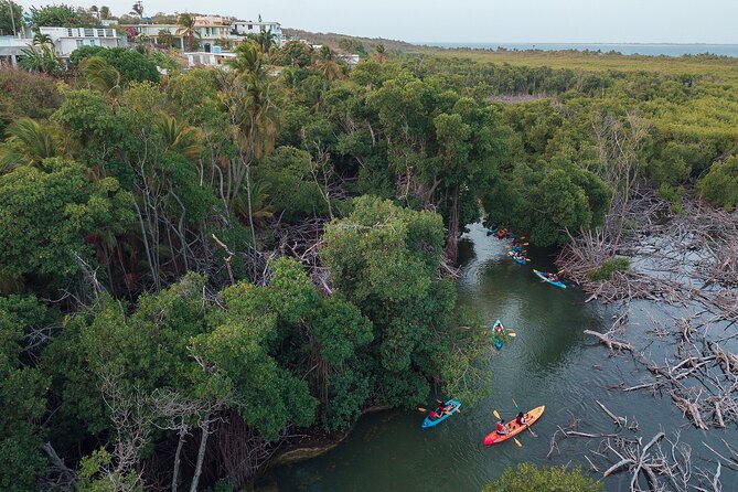 Bioluminescent Bay Night Kayaking Adventure in Puerto Rico - Who should book this Puerto Rico night kayaking tour