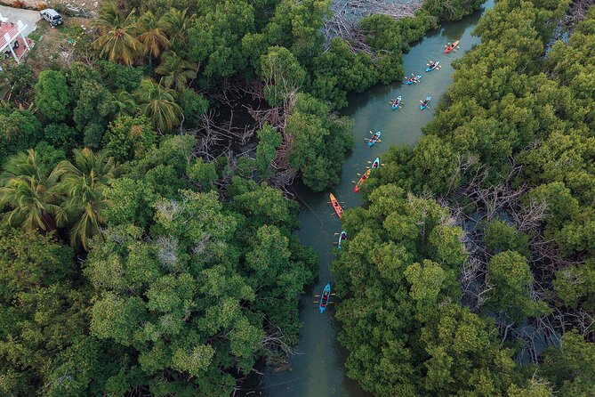 Bioluminescent Bay Night Kayaking Adventure in Puerto Rico - Should you book this bioluminescent bay kayaking adventure?