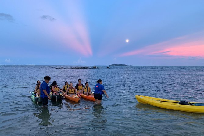 Bioluminescent Bay Night Kayaking, Fajardo - Key things I’d watch before you book