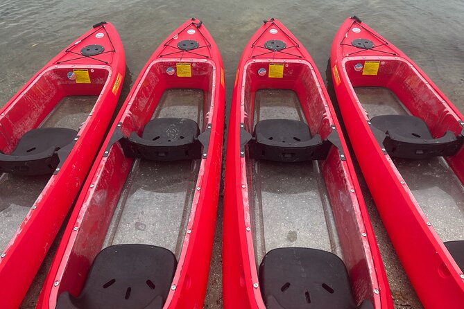 Bioluminescent Clear Bottom Kayak or Paddleboard Sit-On-Top Kayak Hybrid Tour! - Your Vessel: Clear-Bottom Kayak Sightlines (and a Sit-On-Top Hybrid Option)