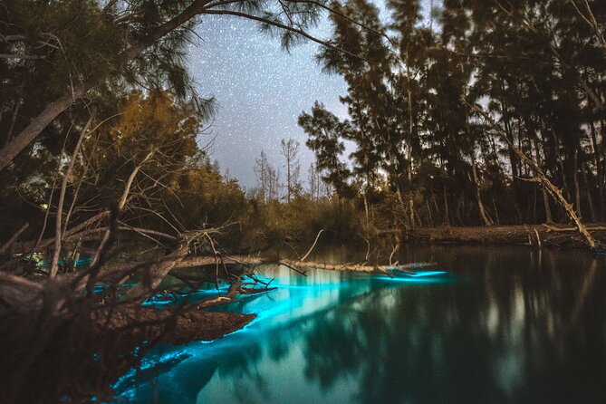 Bioluminescent Clear Kayak Tours in Titusville - Key things to know before you go