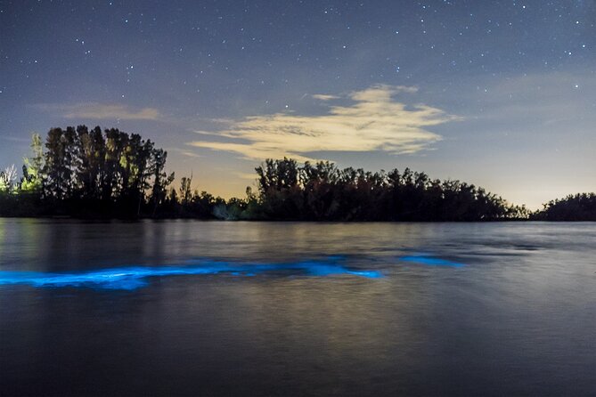 Bioluminescent Clear Kayak Tours in Titusville - The 100% clear kayak effect: seeing the glow under your feet