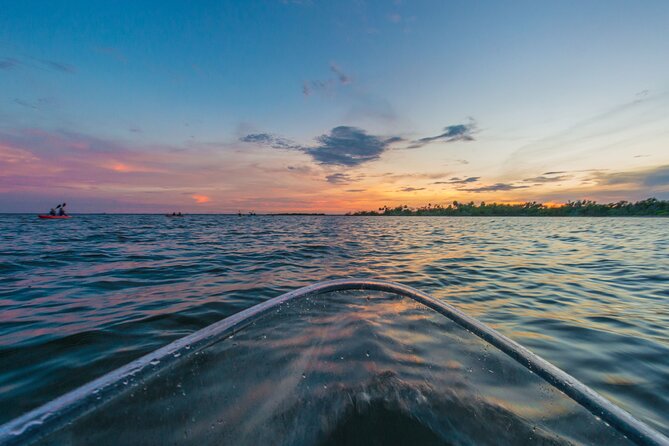 Bioluminescent Clear Kayak Tours in Titusville - Wildlife viewing without frying in the day