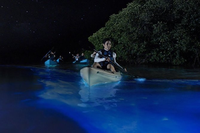 Bioluminescent Kayak Tour by THE #1 Rated Company in Cocoa Beach - Why Night Kayaking on the Banana River Feels Different
