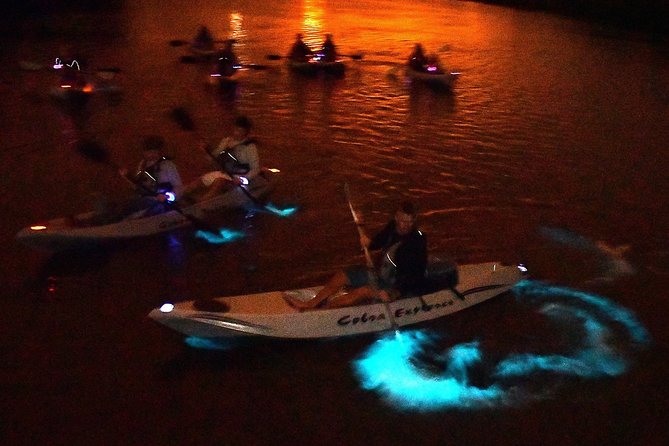 Bioluminescent Kayak Tour by THE #1 Rated Company in Cocoa Beach - What’s Included: The Stuff That Makes This Tour Low-Friction