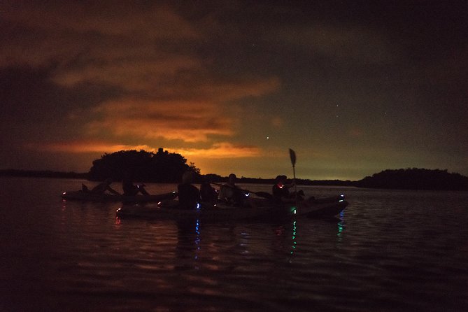 Bioluminescent Kayak Tour by THE #1 Rated Company in Cocoa Beach - The Main Event: Paddle Through Glowing Water