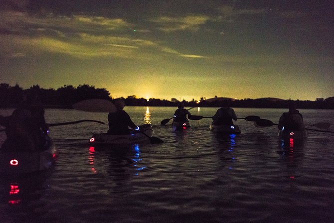 Bioluminescent Kayak Tour by THE #1 Rated Company in Cocoa Beach - Who This Tour Suits Best (And Who Might Want to Rethink It)