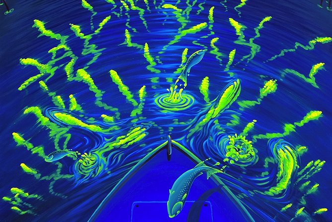 Bioluminescent Kayak Tour by THE #1 Rated Company in Cocoa Beach - Getting Set Up: Meeting Point, Timing, and How the Kayaks Work
