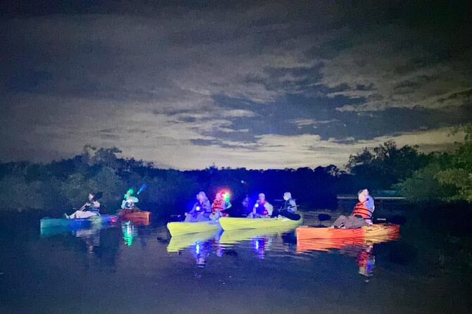 Bioluminescent Kayak Tour in Floridas Indian River Lagoon - Bioluminescence 101: what actually makes the lagoon glow