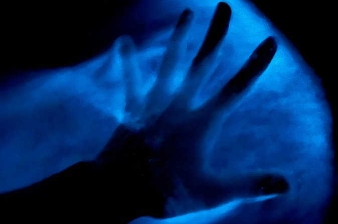 Bioluminescent Kayak Tour in Floridas Indian River Lagoon - Your bioluminescent kayak experience: what to expect, what you’ll notice