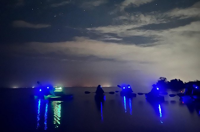 Bioluminescent Kayak Tour in Floridas Indian River Lagoon - Price and value: is $65 for two hours worth it?