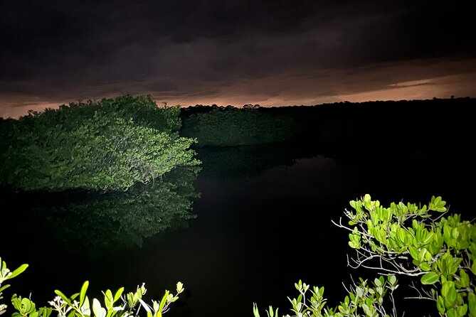 Bioluminescent Kayak Tour in Floridas Indian River Lagoon - Quick practical tips for a smoother night paddle
