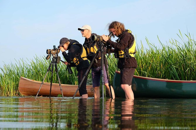 BIRDWATCH - Premium guided canoe tour at Cape Vente, Nemunas Delta Regional Park - Key highlights at Venté Cape by canoe