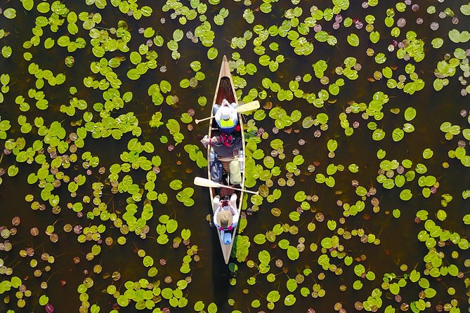 BIRDWATCH - Premium guided canoe tour at Cape Vente, Nemunas Delta Regional Park - What you might see on Venté Cape: 170 species and real variety