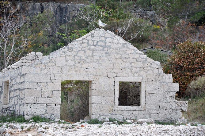 Bits of History - Half day kayak Tour with Wine delight - Remote beaches, swims, and the group’s mood