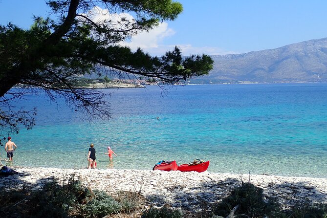 Bits of History - Half day kayak Tour with Wine delight - Guides: Boris vs Andre vs Andrej, all with the same energy