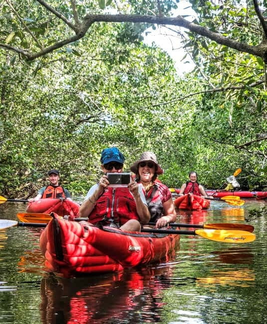 Bohol: SUSTAINABLE Mangrove Tunnels & Firefly Kayaking trail - Abatan River Mangrove Tunnels and Fireflies: the core experience