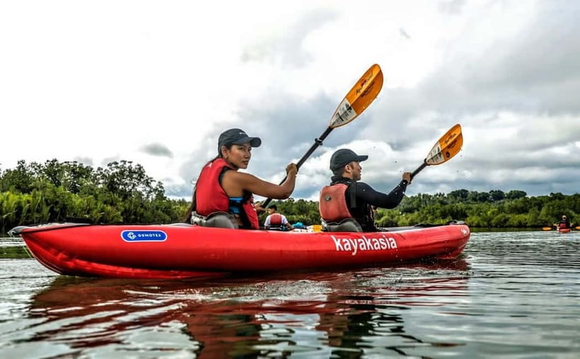 Bohol: SUSTAINABLE Mangrove Tunnels & Firefly Kayaking trail - Getting there from Panglao, Tagbilaran, or Loboc without wasting your evening