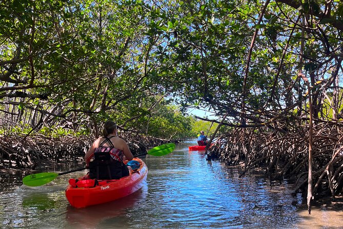 Bonita Springs Eco Kayak Tour – Best Gear, Premium&Clear Kayaks - Key Highlights You’ll Care About