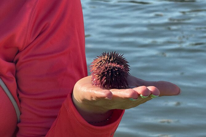 Bonita Springs Eco Kayak Tour – Best Gear, Premium&Clear Kayaks - Beginner-Friendly Coaching: How the Guides Keep It Fun
