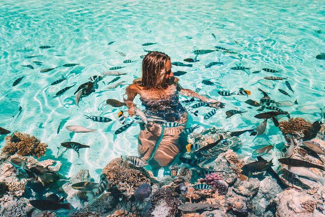 Bora Bora Snorkel Cruise by Polynesian Outrigger Canoe with BBQ Island Lunch - The 9:00am Start: Pickup, Gear, and the Outrigger Canoe Vibe