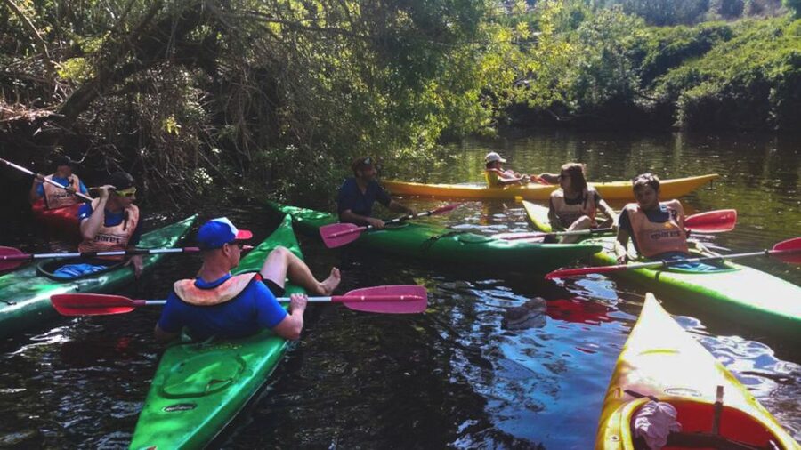 Bosa: Temo River Kayak Rental - Key Points to Know Before You Paddle the Temo