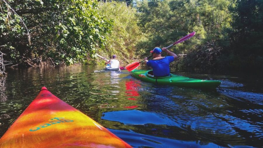 Bosa: Temo River Kayak Rental - The Booking Basics You Should Know