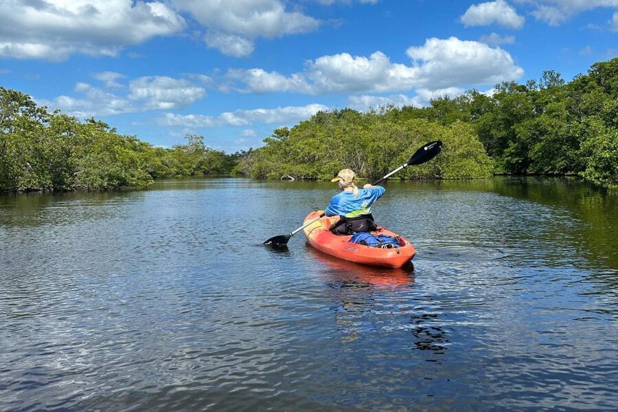 Bradenton: Anna Maria Island Guided Kayaking Manatee Tour - Why Anna Maria Island and Bradenton works so well for a manatee kayak tour