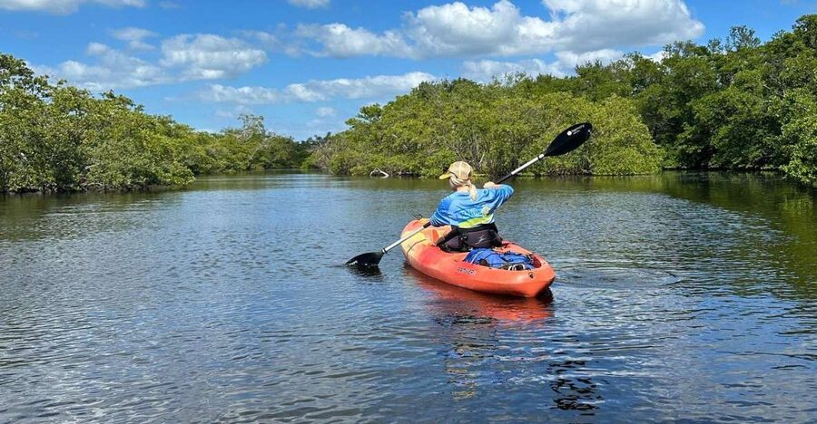 Bradenton: Anna Maria Island Guided Kayaking Manatee Tour - Manatees: the good news, the reality check, and how to spot them respectfully