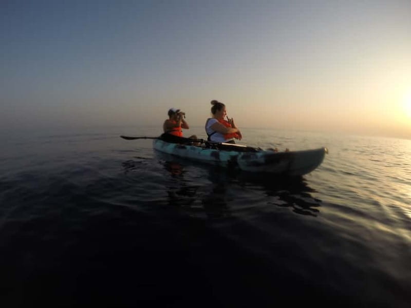 Brindisi: Kayaking at Sant'Andrea Island - Meeting times, weather reality, and the key planning checklist