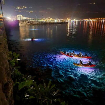 Budva: Night Lights Kayaking Tour - The 2-Hour Plan: From Lessons to St. Nicholas Island