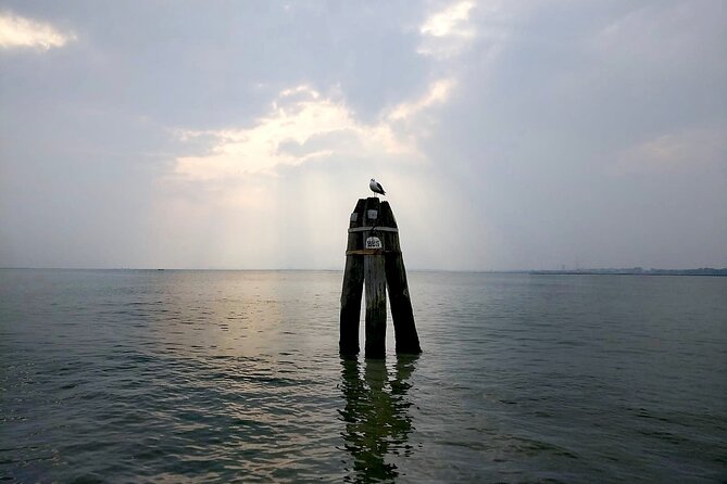 Burano Kayak Eco-Tour Through the Venetian Lagoon - Wildlife spotting and lagoon nature time