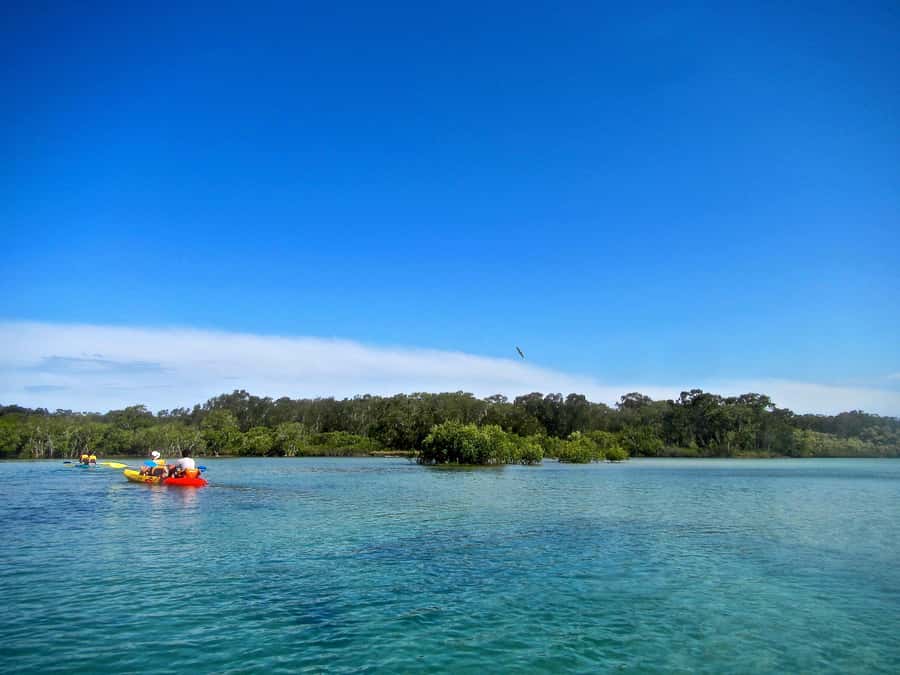 Byron Bay: Brunswick River Scenic Kayak Tour - Should you book? A quick decision guide