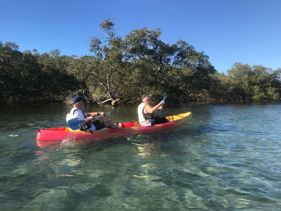Byron Bay: Brunswick River Scenic Kayak Tour - Wildlife spotting on cue: stingrays, fish, birds, and possible turtles