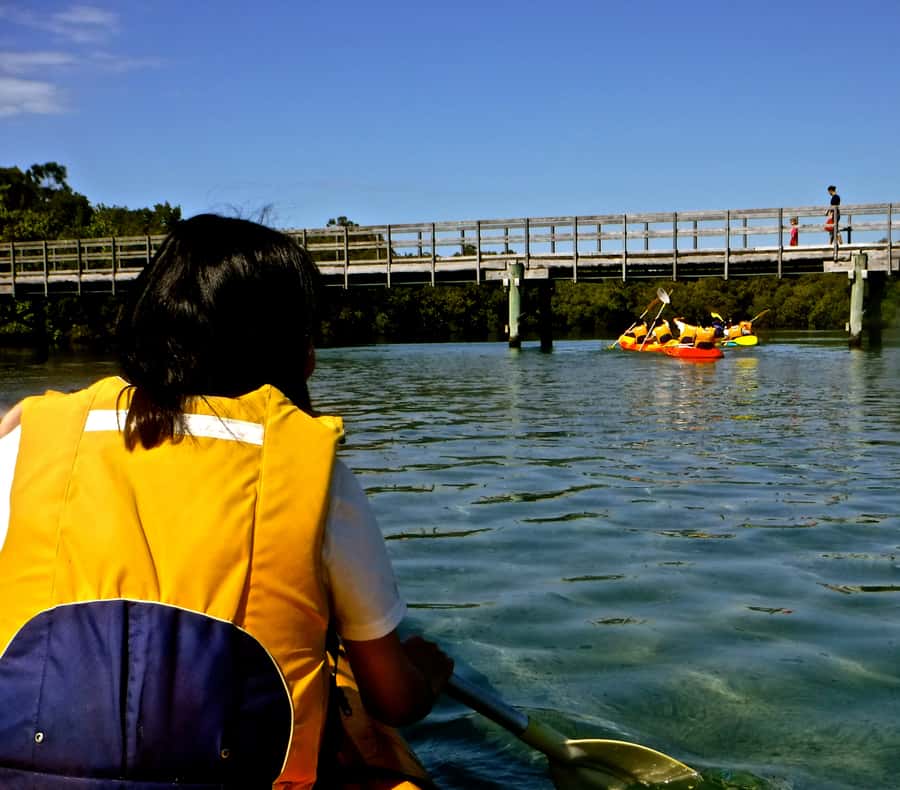 Byron Bay: Brunswick River Scenic Kayak Tour - The riverside break: swim time, snacks, and a secluded beach picnic