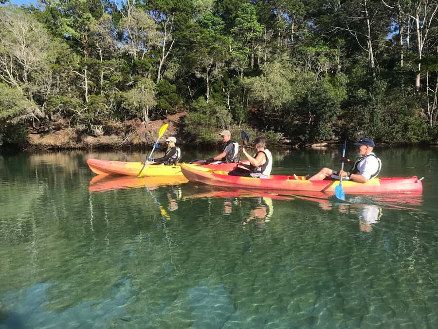 Byron Bay: Brunswick River Scenic Kayak Tour - Who this tour suits best (and who should think twice)