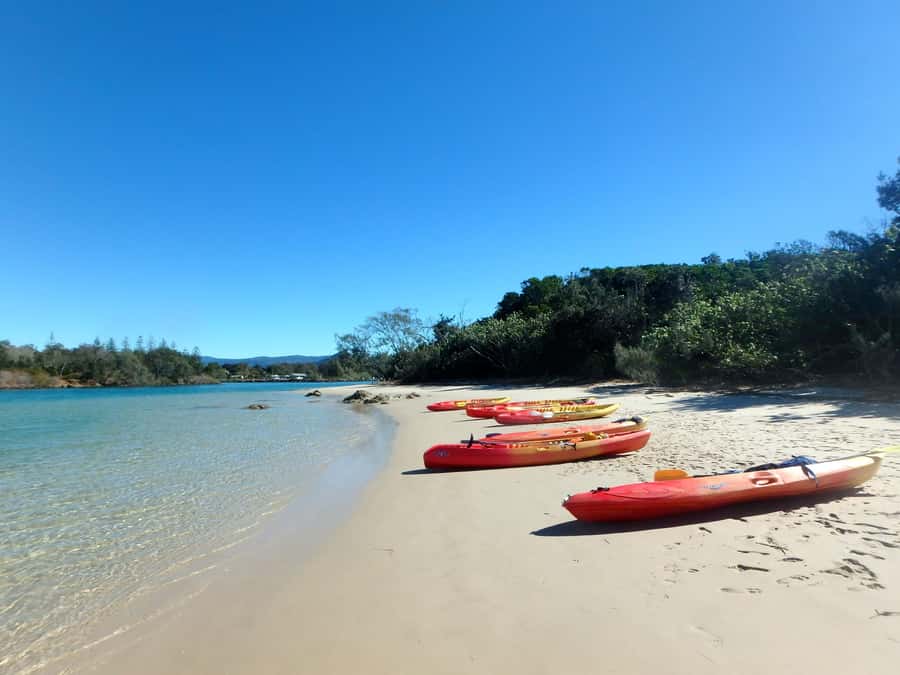 Byron Bay: Brunswick River Scenic Kayak Tour - Meeting points, timing, and a smooth arrival mindset