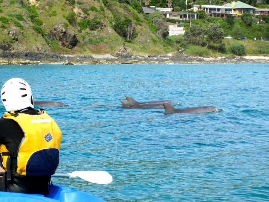 Byron Bay: The Byron Bay Sea Kayak Tour - Key things you’ll notice right away