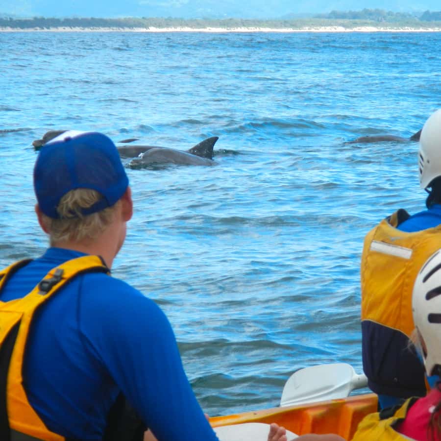 Byron Bay: The Byron Bay Sea Kayak Tour - Byron Bay Lighthouse from your kayak: the view you can’t replicate by land