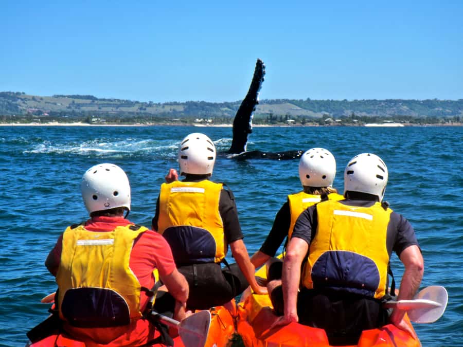 Byron Bay: The Byron Bay Sea Kayak Tour - Paddling out through surf, then surfing back to shore