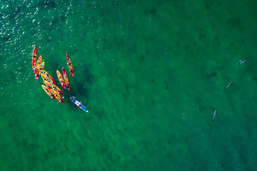 Byron Bay: The Byron Bay Sea Kayak Tour - Price and value: getting your money’s worth from $63 per person