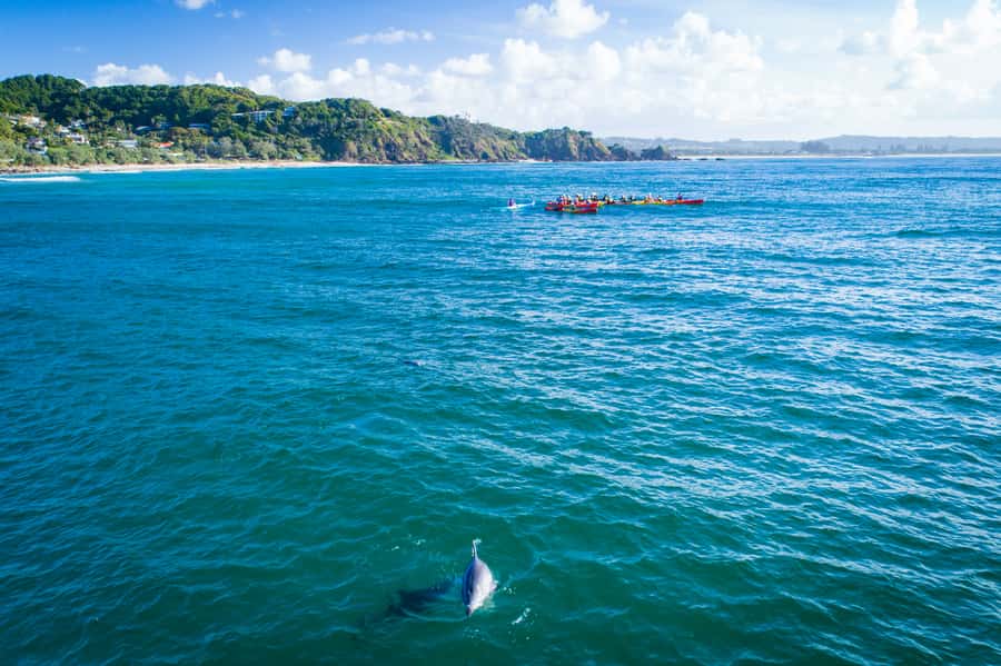 Byron Bay: The Byron Bay Sea Kayak Tour - Who should book this sea kayak tour in Byron Bay (and who should pass)