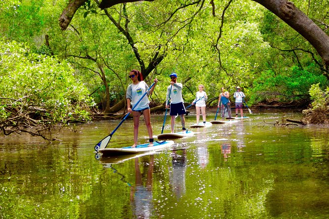 Byron Stand Up Paddle Nature Tour - Key highlights you’ll care about
