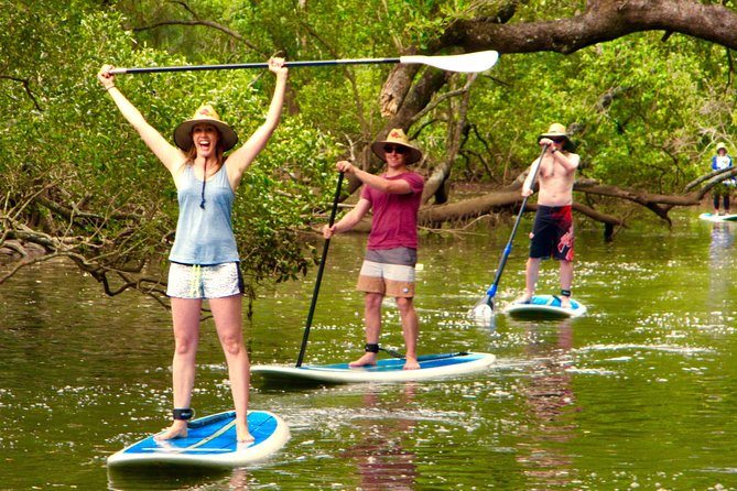 Byron Stand Up Paddle Nature Tour - Brunswick River in Cape Byron Marine Park: the calm you came for