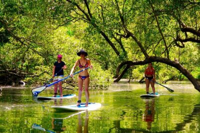 Byron Stand Up Paddle Nature Tour - Two hours of small-group SUP: what the lesson actually does for beginners