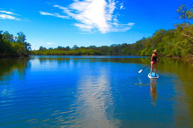 Byron Stand Up Paddle Nature Tour - Should you book the Byron Stand Up Paddle Nature Tour?