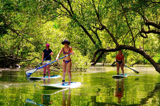 Byron Stand Up Paddle Nature Tour - Two hours of small-group SUP: what the lesson actually does for beginners